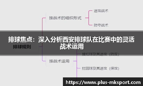 排球焦点：深入分析西安排球队在比赛中的灵活战术运用