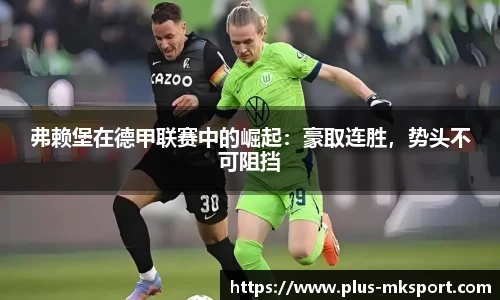 mk体育官网
