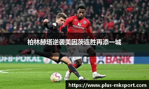 mk体育官方网站