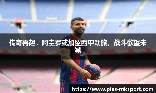 mk体育官方网站