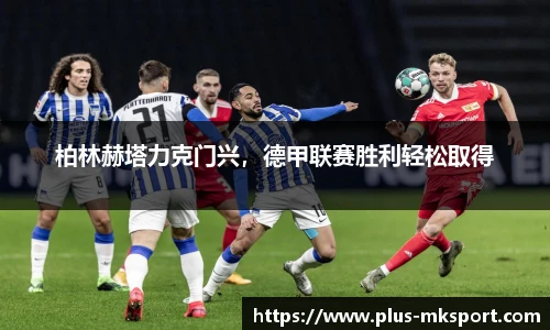 mk体育官网